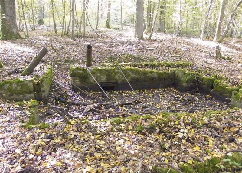 Ligne Maginot - CB443-B - BOIS KARRE 5 - (Blockhaus pour canon) -  - Jean-Louis AUBLET & Sylvie MAINGUIN