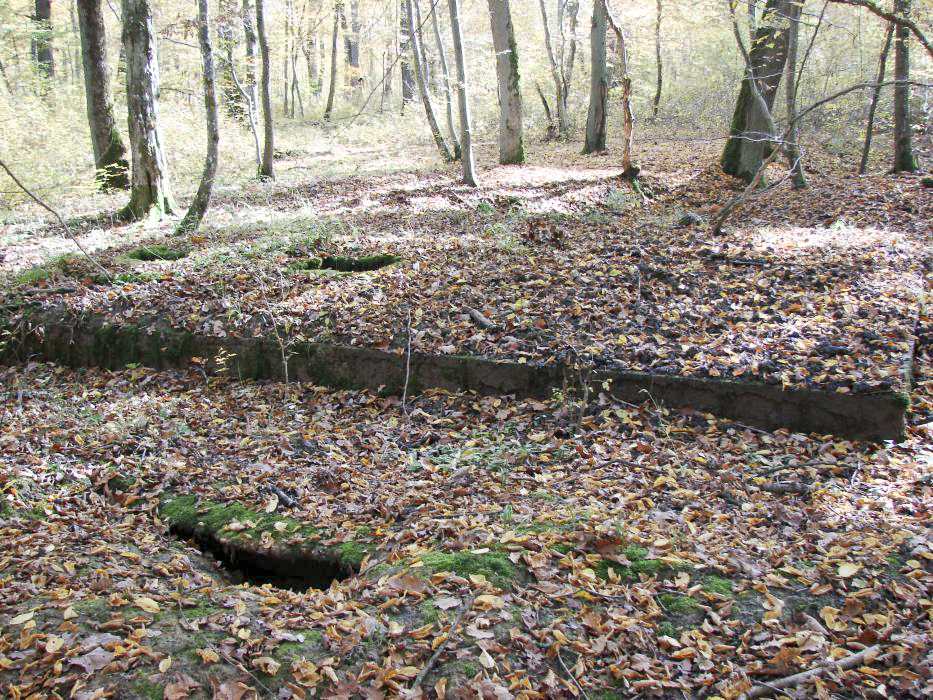 Ligne Maginot - O43 - KARRE - (Observatoire d'artillerie) -  - Schnoupf