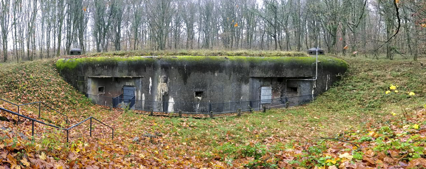 Ligne Maginot - BOIS DE CATTENOM - X14 - (Abri) - Vue générale de l'abri. - Julien Boulanger