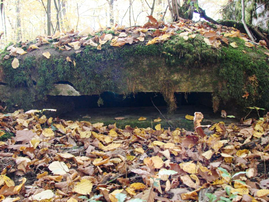 Ligne Maginot - CB445 - BOIS KARRE 3 - (Blockhaus pour canon) - Vue de l'annexe - Schnoupf