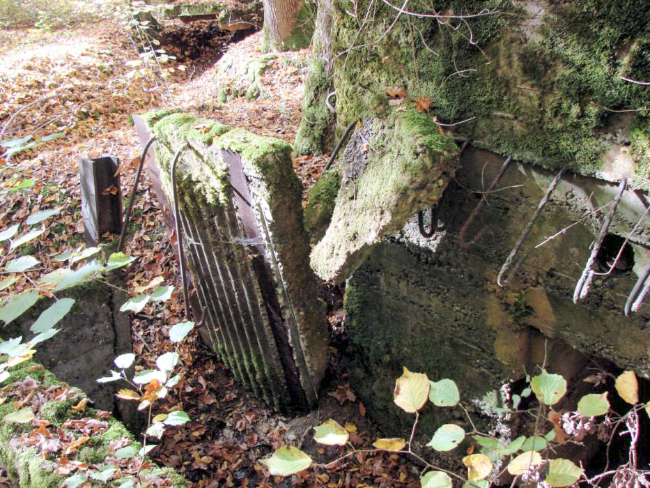 Ligne Maginot - CB445 - BOIS KARRE 3 - (Blockhaus pour canon) - L'entrée
Toit effondré au niveau de l'entrée du blockhaus et de l'annexe. - Schnoupf