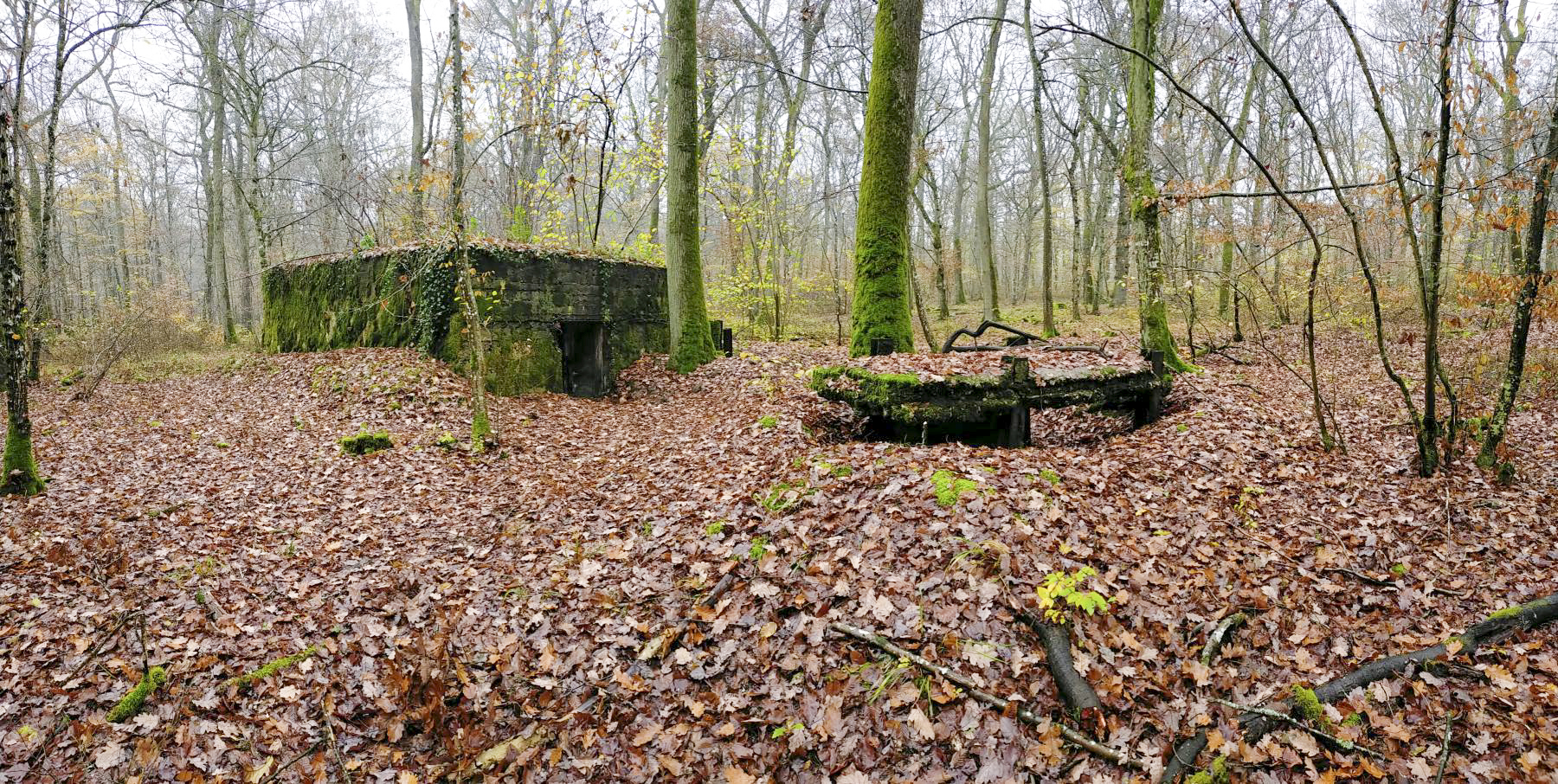 Ligne Maginot - CB445 - BOIS KARRE 3 - (Blockhaus pour canon) - Vue d'ensemble de l'arrière du blockhaus. - Julien Boulanger