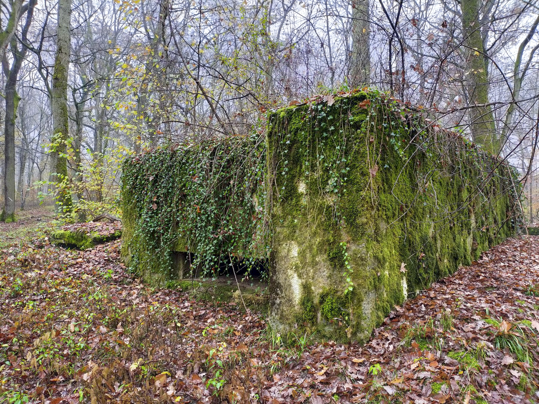 Ligne Maginot - CB445 - BOIS KARRE 3 - (Blockhaus pour canon) - Le blockhaus avec son annexe à gauche. - Julien Boulanger