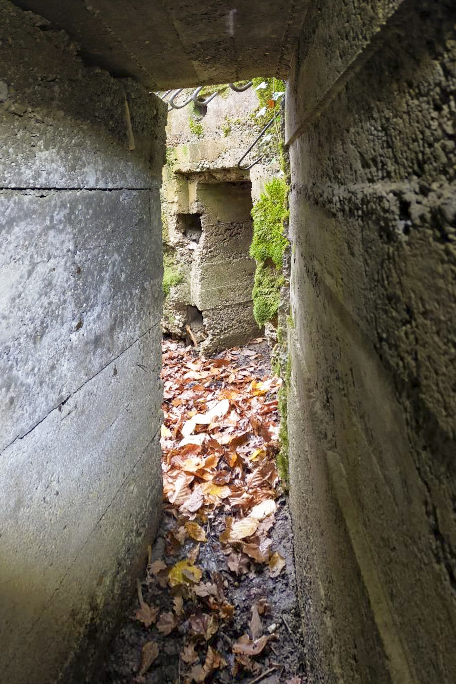 Ligne Maginot - CB445 - BOIS KARRE 3 - (Blockhaus pour canon) - L'entrée des hommes depuis le poste bétonné. - Julien Boulanger