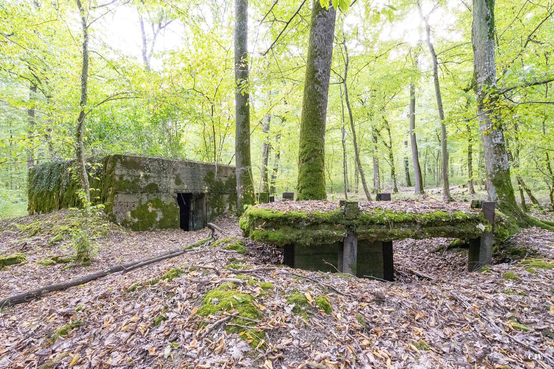 Ligne Maginot - CB445 - BOIS KARRE 3 - (Blockhaus pour canon) -  - Lia VERMEULEN