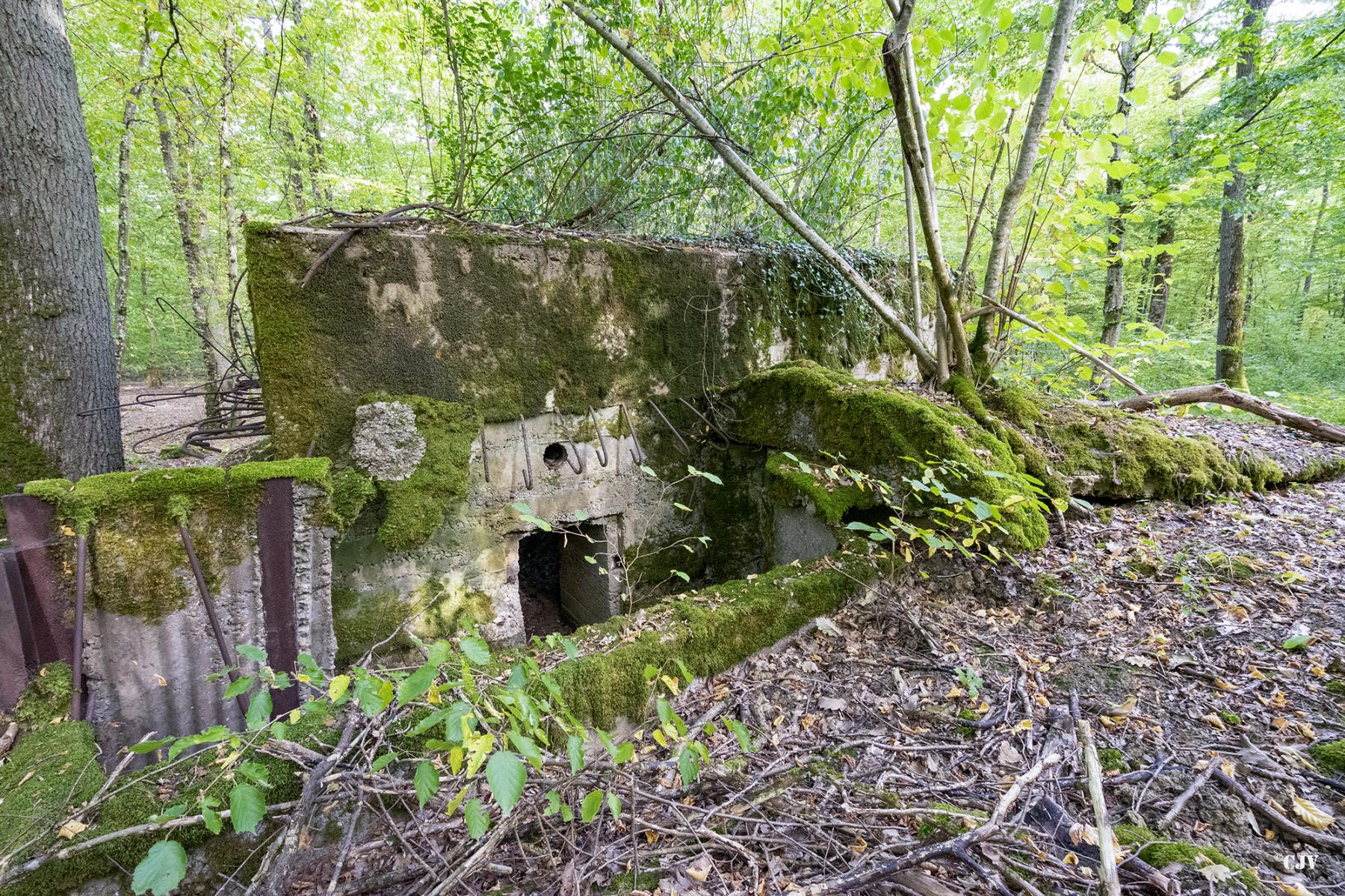 Ligne Maginot - CB445 - BOIS KARRE 3 - (Blockhaus pour canon) -  - Lia VERMEULEN