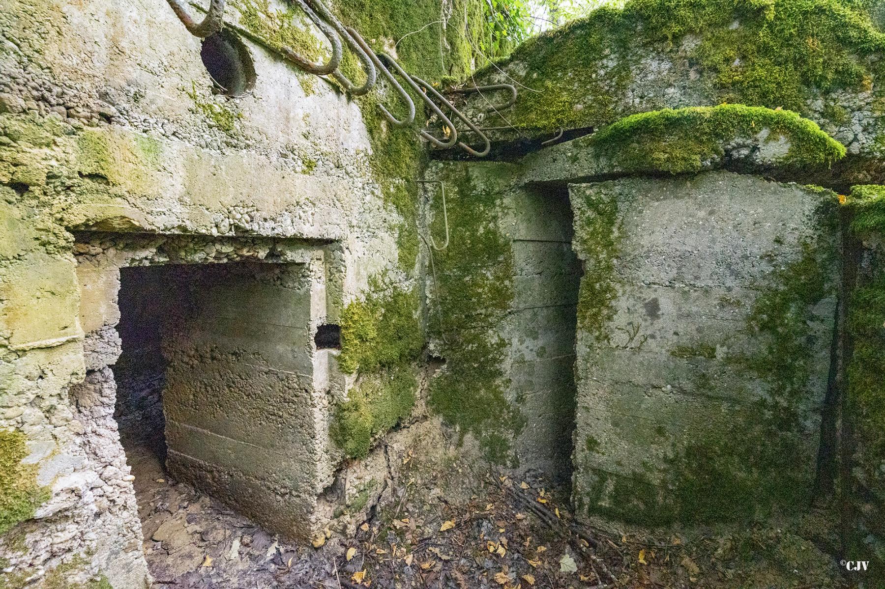 Ligne Maginot - CB445 - BOIS KARRE 3 - (Blockhaus pour canon) -  - Lia VERMEULEN