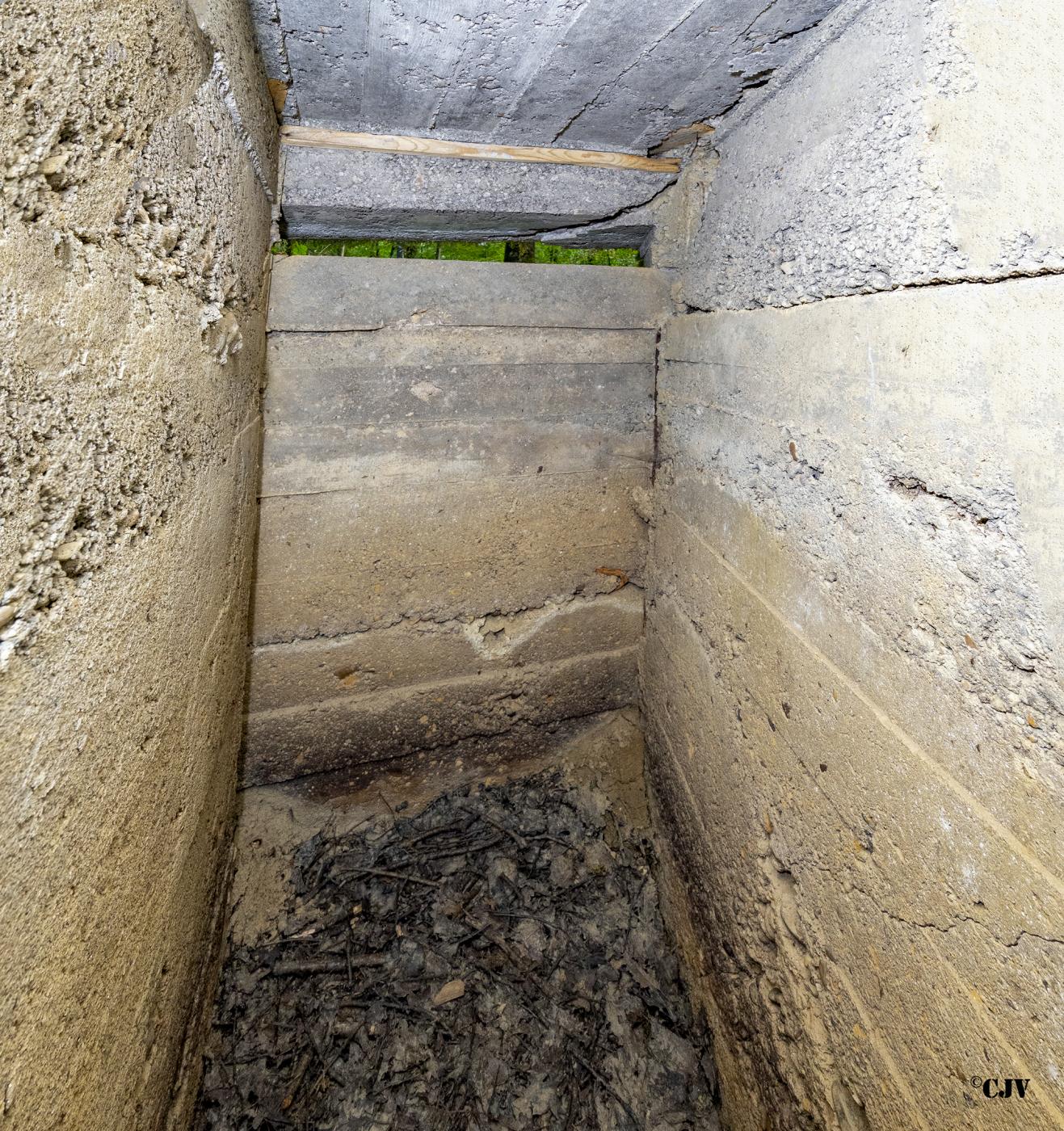 Ligne Maginot - CB445 - BOIS KARRE 3 - (Blockhaus pour canon) -  - Lia VERMEULEN