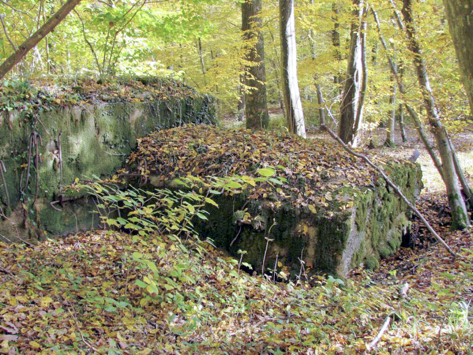 Ligne Maginot - CB447 - BOIS KARRE 2 - (Blockhaus pour arme infanterie) - Vue de l'arrière - Schnoupf