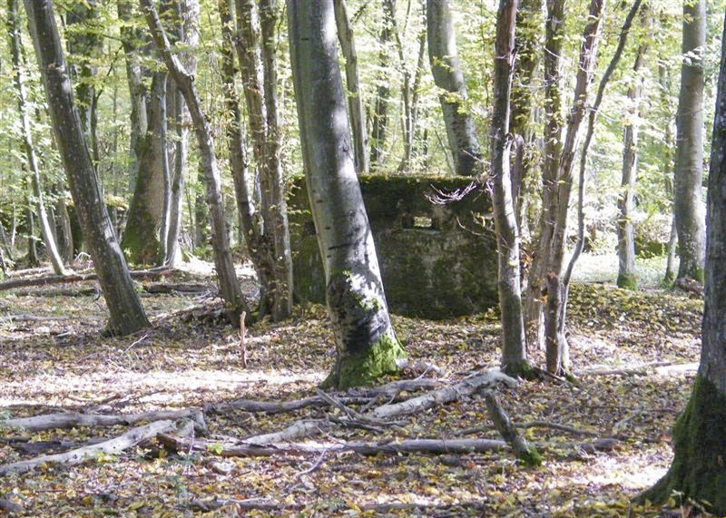 Ligne Maginot - CB447-A - BOIS KARRE 1 - (Blockhaus pour arme infanterie) -  - Jean-Louis AUBLET & Sylvie MAINGUIN