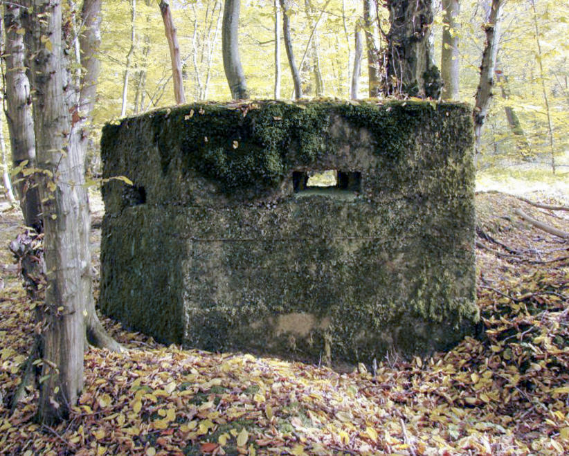 Ligne Maginot - CB447-A - BOIS KARRE 1 - (Blockhaus pour arme infanterie) - Vue de la façade - SCHNOUPF Gregory