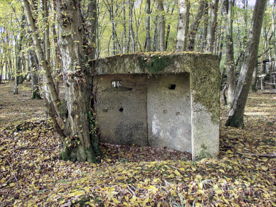 Ligne Maginot - CB447-A - BOIS KARRE 1 - (Blockhaus pour arme infanterie) - Vue de l'arrière - SCHNOUPF Gregory