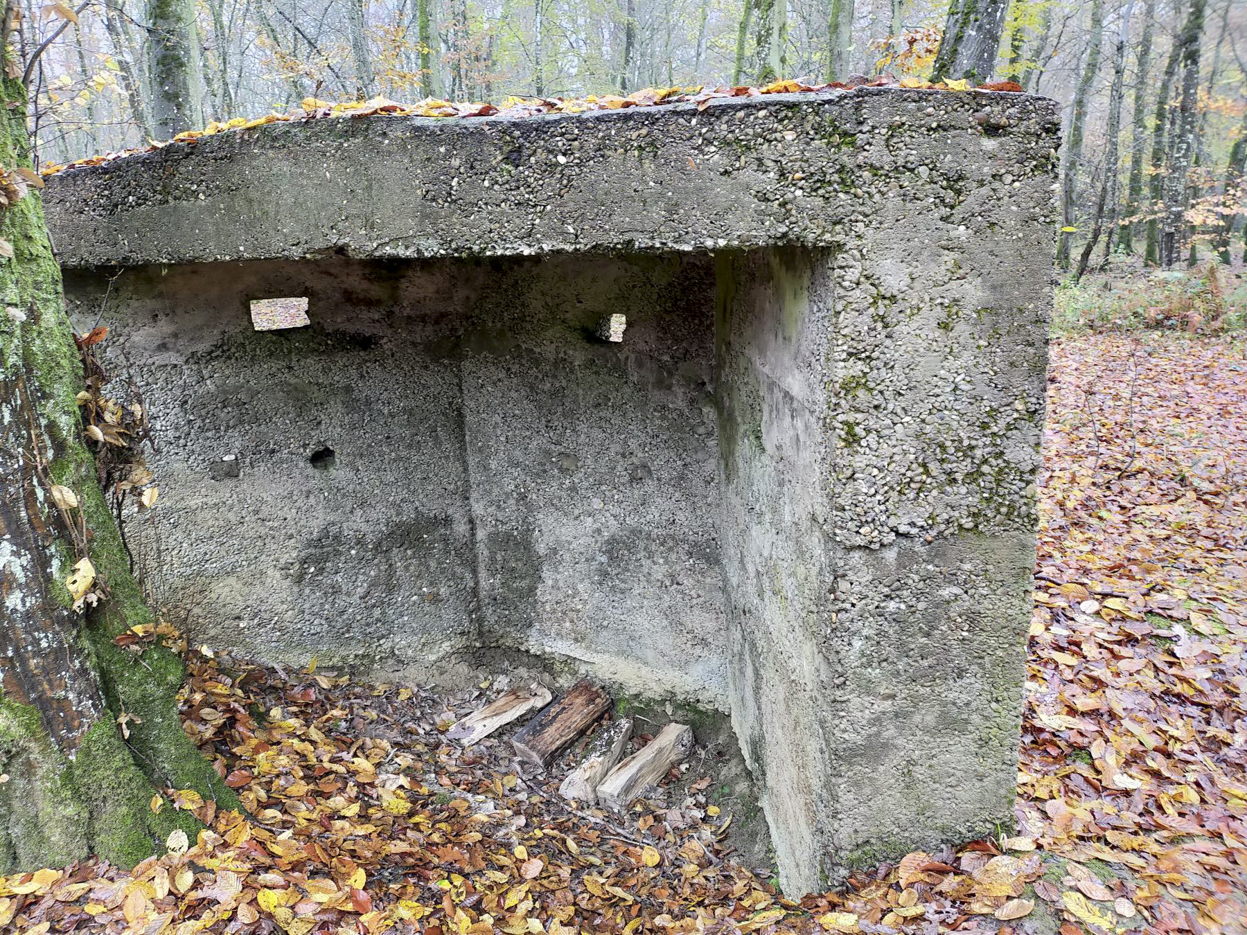 Ligne Maginot - CB447-A - BOIS KARRE 1 - (Blockhaus pour arme infanterie) -  - Julien Boulanger