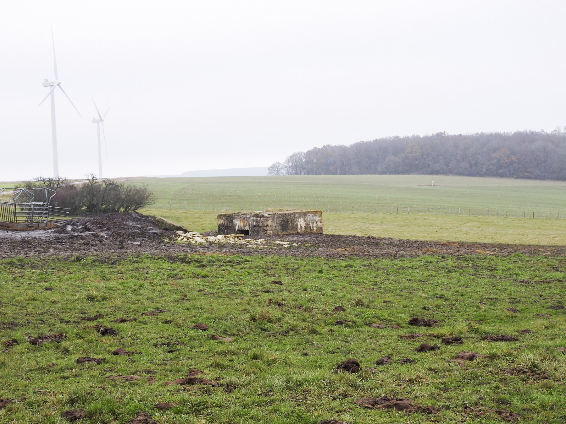 Ligne Maginot - SEYBERG 1 - (Blockhaus pour canon) - Le blockhaus vu de l'arrière. - STENGER Mathieu