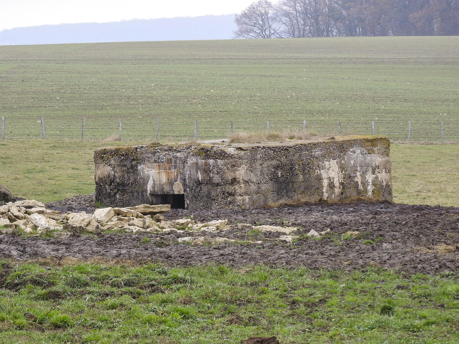 Ligne Maginot - SEYBERG 1 - (Blockhaus pour canon) - L'entrée. - STENGER Mathieu
