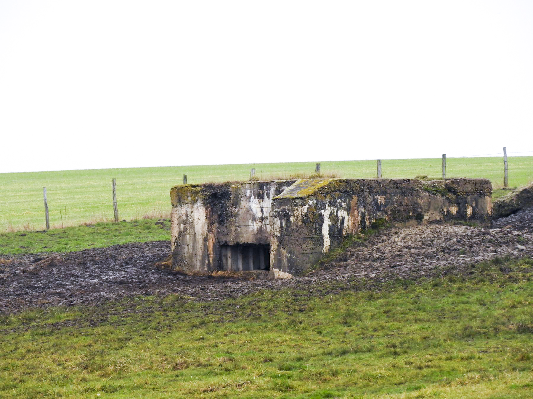 Ligne Maginot - SEYBERG 1 - (Blockhaus pour canon) - La façade avant du blockhaus. - STENGER Mathieu