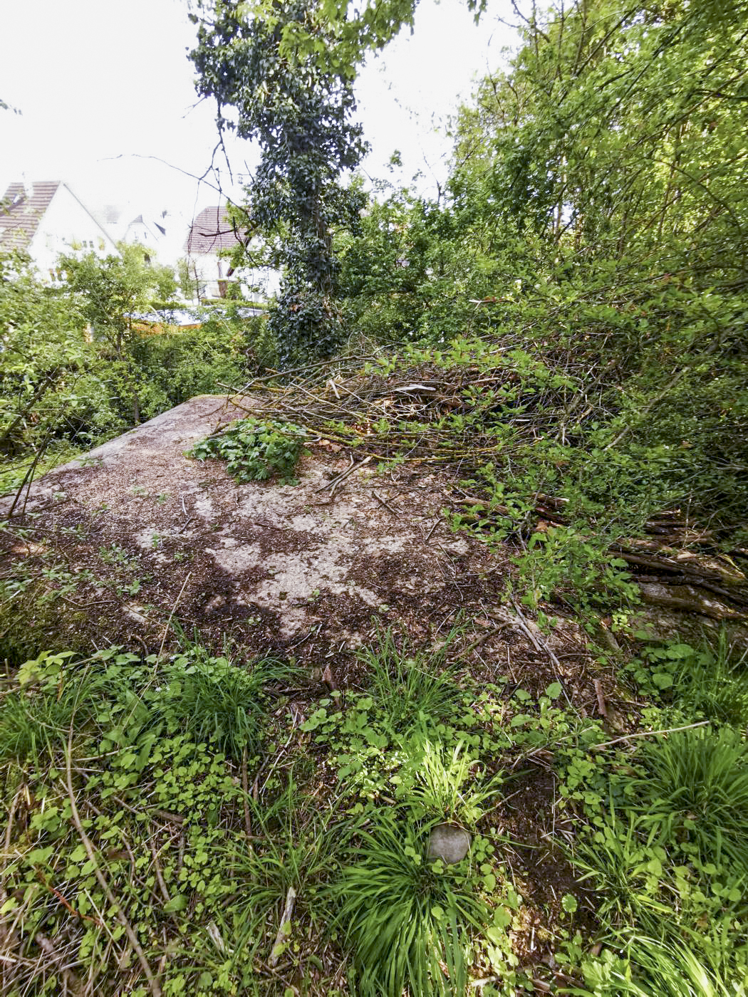 Ligne Maginot - B1593 - RICHARDSHAEUSER 2 - (Blockhaus pour arme infanterie) - Vu du dessus, le reste du blockhaus est enfoui sous terre. - leiraph