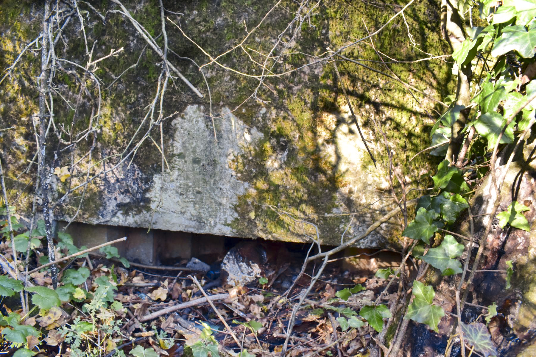 Ligne Maginot - B1593 - RICHARDSHAEUSER 2 - (Blockhaus pour arme infanterie) - Créneau FM - Daniel Froehly