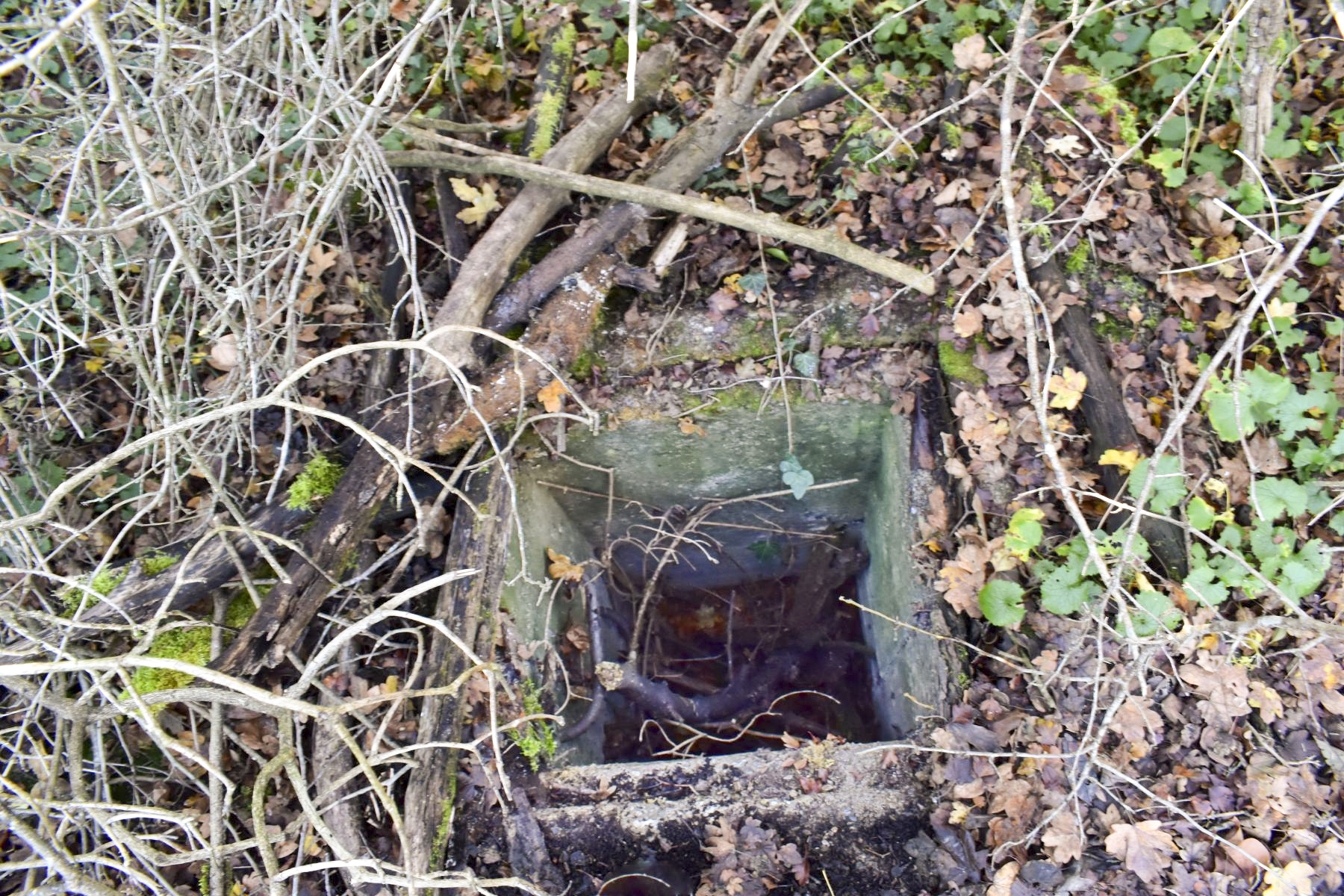 Ligne Maginot - B1593 - RICHARDSHAEUSER 2 - (Blockhaus pour arme infanterie) - Entrée en puits - Daniel Froehly