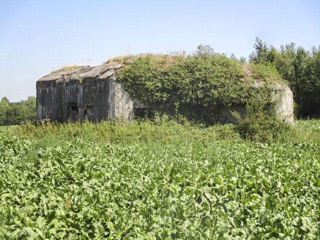 Ligne Maginot - B680 - FAUQUEMONT NORD - (Blockhaus pour canon) -  - Randonneur62