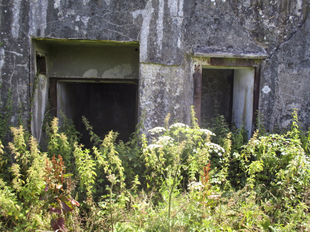 Ligne Maginot - B680 - FAUQUEMONT NORD - (Blockhaus pour canon) -  - Randonneur62