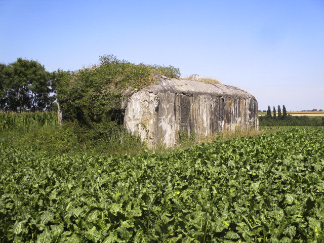 Ligne Maginot - B680 - FAUQUEMONT NORD - (Blockhaus pour canon) -  - Randonneur62