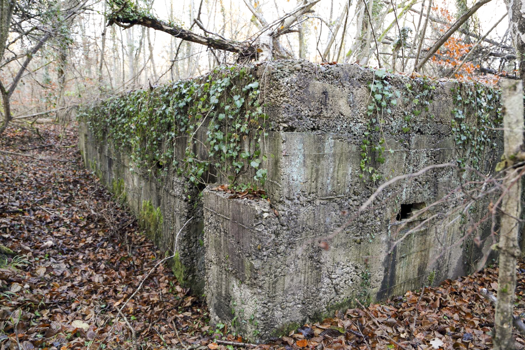 Ligne Maginot - GANZAU NORD - (Abri) -  - A. SCHOEN