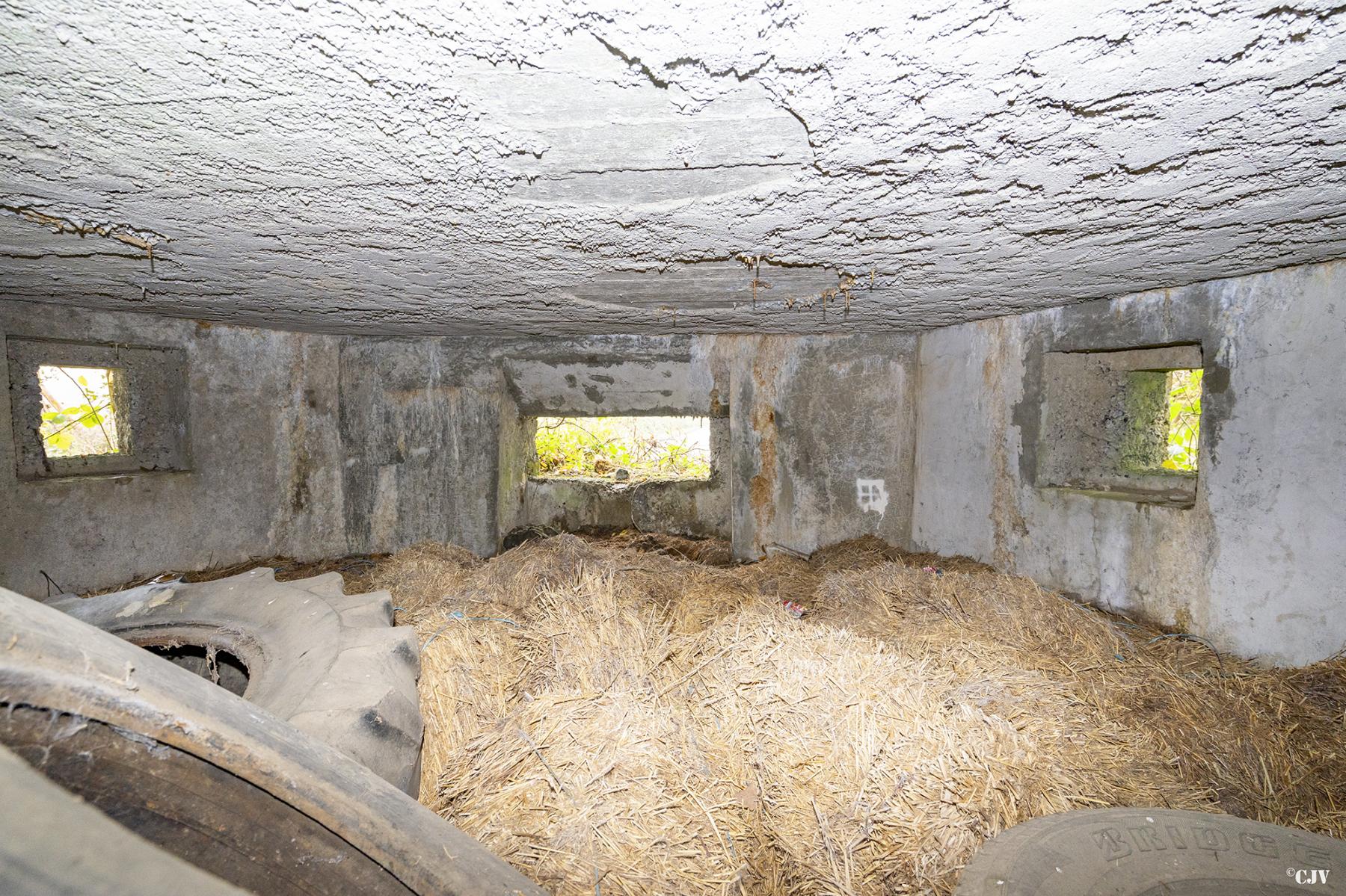 Ligne Maginot - LANIERE OUEST - (Blockhaus pour arme infanterie) -  - Lia VERMEULEN
