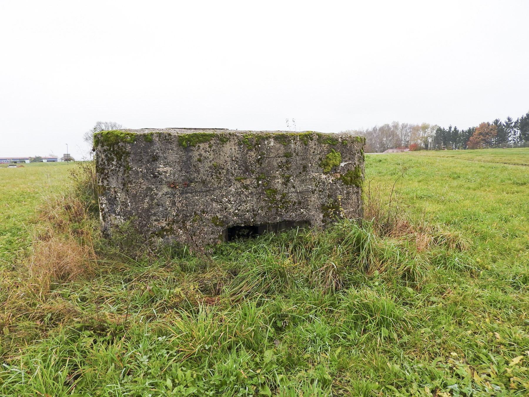 Ligne Maginot - MAYERSBUSCH 2 - (Blockhaus pour arme infanterie) - Le façade de tir. - STENGER Mathieu