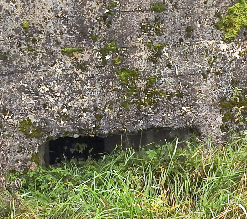 Ligne Maginot - MAYERSBUSCH 2 - (Blockhaus pour arme infanterie) - Le créneaux pour arme d'infanterie. - STENGER Mathieu