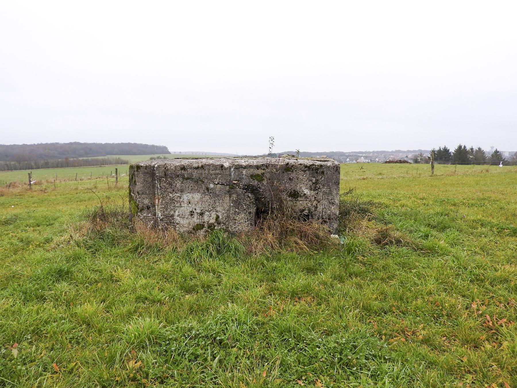 Ligne Maginot - MAYERSBUSCH 2 - (Blockhaus pour arme infanterie) - Le côté de l'entrée remblayée. - STENGER Mathieu