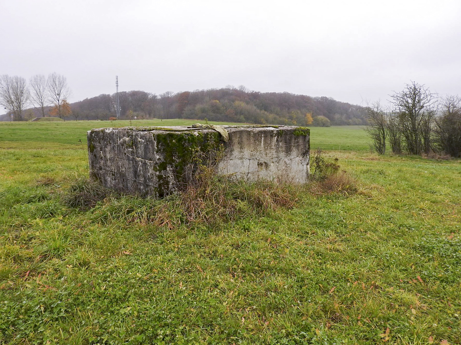 Ligne Maginot - MAYERSBUSCH 2 - (Blockhaus pour arme infanterie) -  - STENGER Mathieu