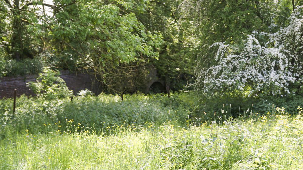 Ligne Maginot - LES SARTS - (Ouvrage d'infanterie) - Fossé de l'ancien fort Séré de Riviéres conservé pour la protection de l'ouvrage Maginot - Segers