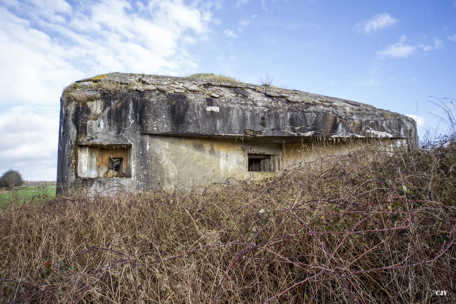 Ligne Maginot - B704 - CHAMPS-ELYSÉES - (Blockhaus pour canon) -  - Lia VERMEULEN