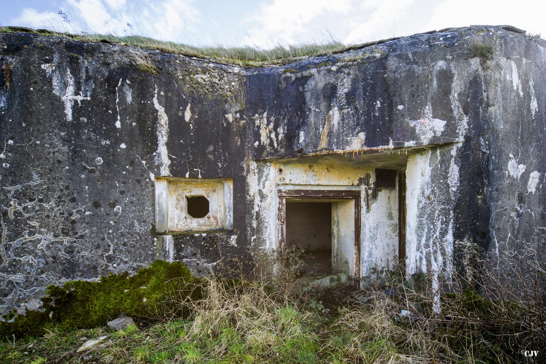 Ligne Maginot - B704 - CHAMPS-ELYSÉES - (Blockhaus pour canon) -  - Lia VERMEULEN