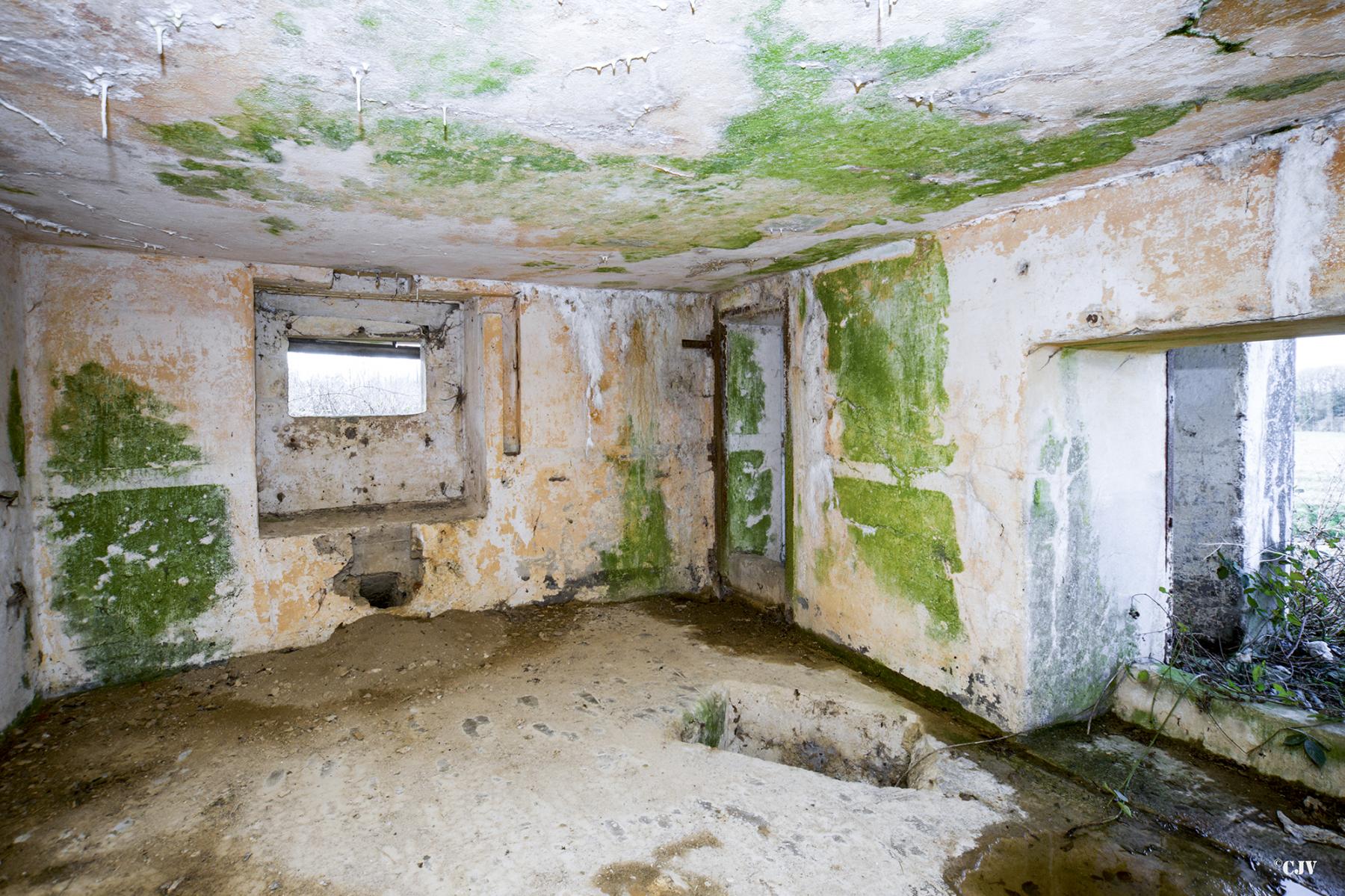 Ligne Maginot - B704 - CHAMPS-ELYSÉES - (Blockhaus pour canon) -  - Lia VERMEULEN