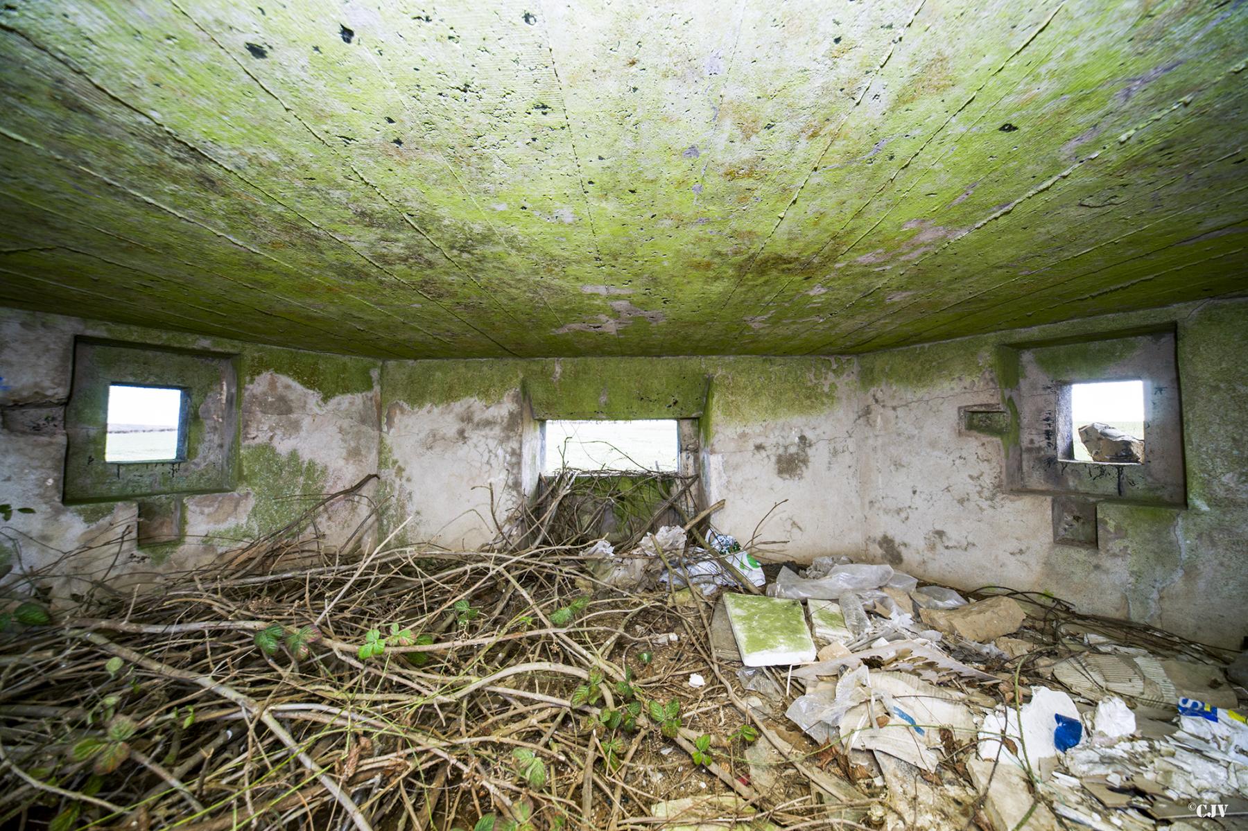 Ligne Maginot - B703 - LA PREE - (Blockhaus pour arme infanterie) -  - Lia VERMEULEN