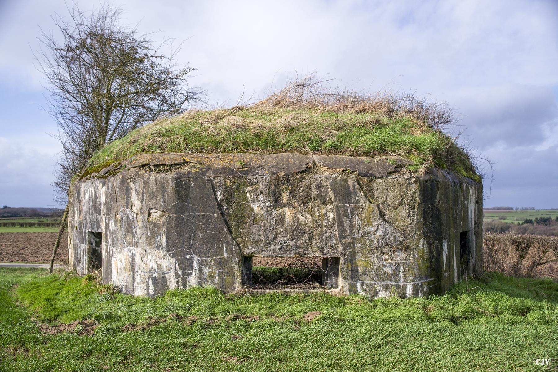 Ligne Maginot - B703 - LA PREE - (Blockhaus pour arme infanterie) -  - Lia VERMEULEN