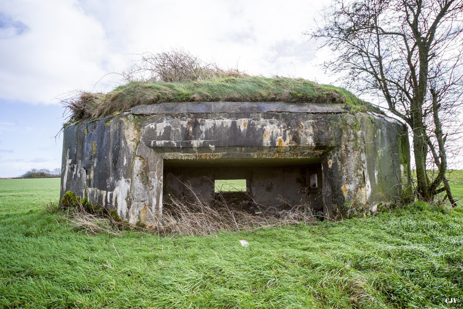 Ligne Maginot - B703 - LA PREE - (Blockhaus pour arme infanterie) -  - Lia VERMEULEN