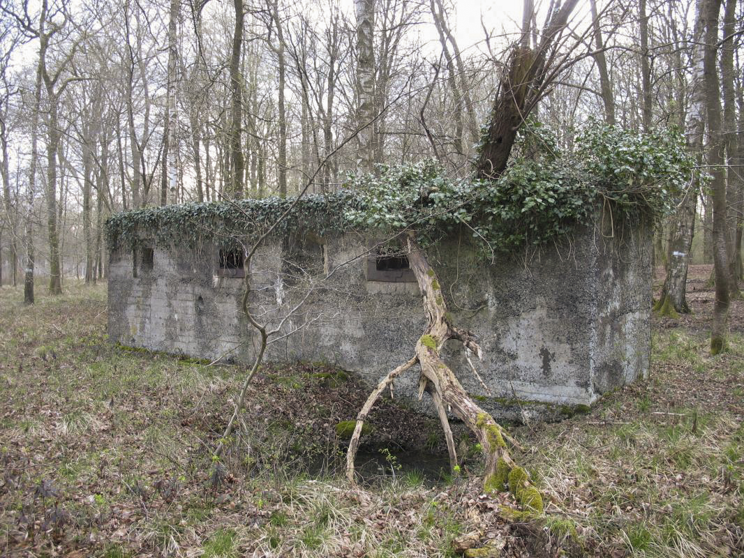 Ligne Maginot - RAUCOURT - (Stand de tir) - Le mur de tir pour armement de forteresse. Vue coté extérieur - MEURANT Sebastien