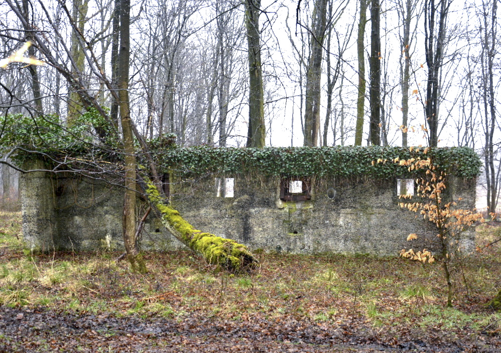 Ligne Maginot - RAUCOURT - (Stand de tir) - Champ de tir d'instruction et la maison forte se trouvent à plusieurs centaines de mètres au S-E du château d'eau (voir carte) - Jean PISSON