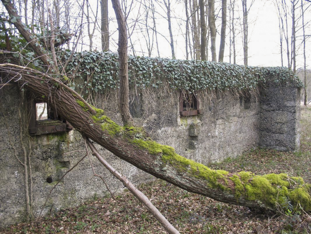 Ligne Maginot - RAUCOURT - (Stand de tir) - Le mur de tir pour armement de forteresse. Vue coté 'intérieur' - MEURANT Sebastien