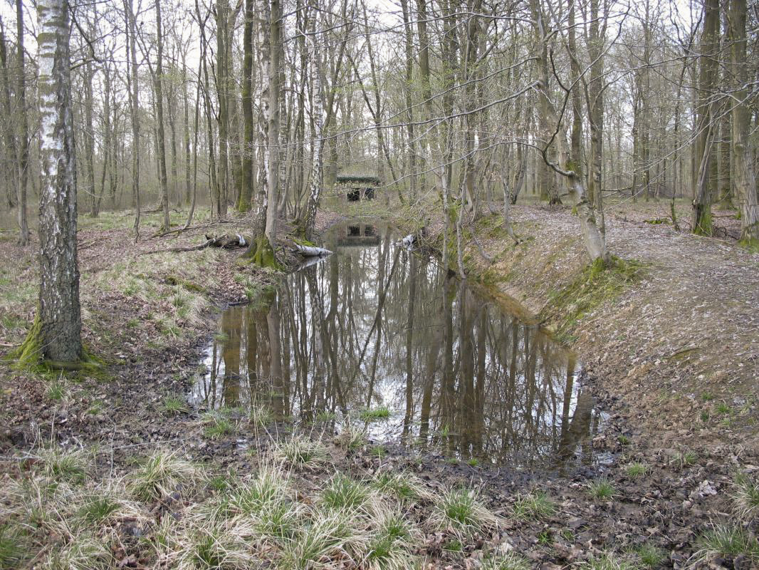 Ligne Maginot - RAUCOURT - (Stand de tir) - Accès du bâtiment par l'arrière. - MEURANT Sebastien