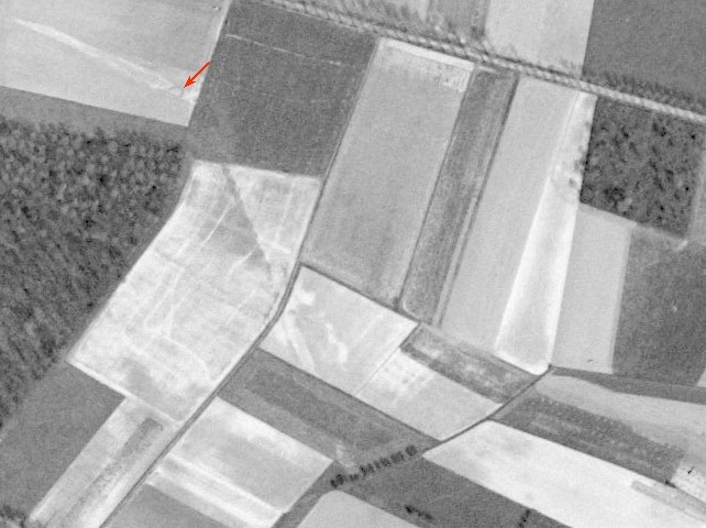 Ligne Maginot - BEF 425 - BOIS DE BERCU NORD - (Blockhaus pour canon) -  - IGN - Géoportail 1951