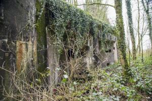 Ligne Maginot - A96 - LE MESNIL NORD - (Blockhaus pour canon) - Les créneaux