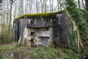 Ligne Maginot - A97 - LE MESNIL SUD - (Blockhaus pour canon) - 