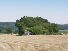 Ligne Maginot - B672 - TOUS VENTS NORD - (Blockhaus pour canon) - 