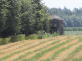 Ligne Maginot - Blockhaus B696 - CIMETIERE d'AIBES - Blockhaus situé en limite d'un champ cultivé.
Vue prise depuis la rue du Cimetière.