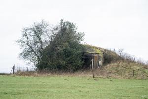 Ligne Maginot - B698 - BOUT D'EN HAUT SUD - (Blockhaus pour canon) - 