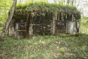 Ligne Maginot - B750 - SAINTE HILTRUDE - (Blockhaus pour canon) - 